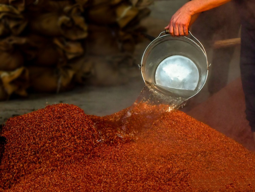 《源起味来》第一期|传承酿造·品质未来